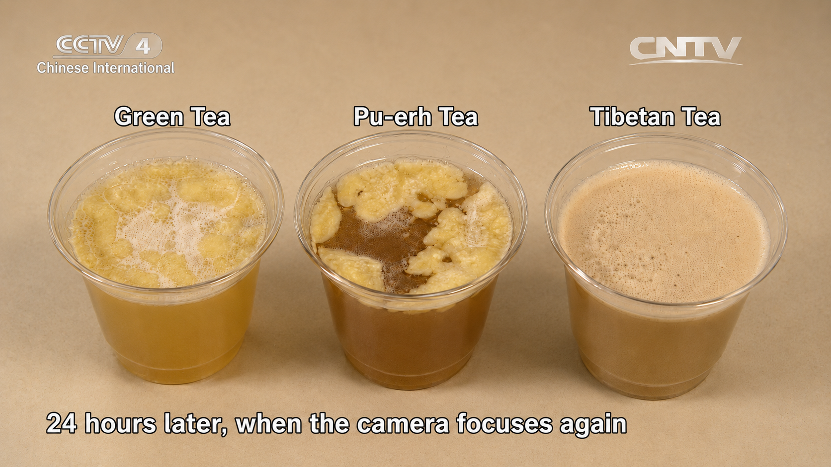VISITEA Ya'an dark tea observation image
