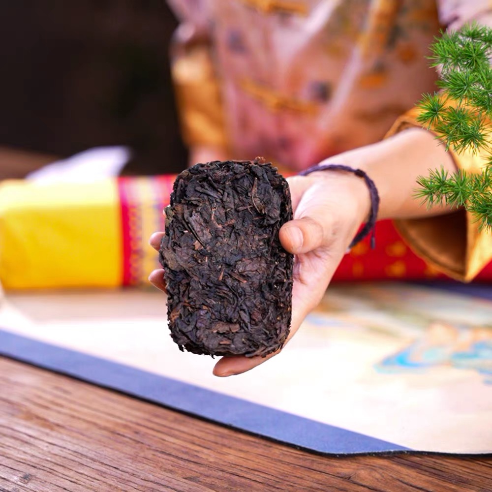 Hand holding Ya'an dark tea brick